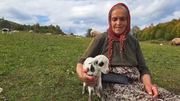2 yıl önce eşini kaybetti: Oğluyla birlikte çobanlık yapmaya başladı