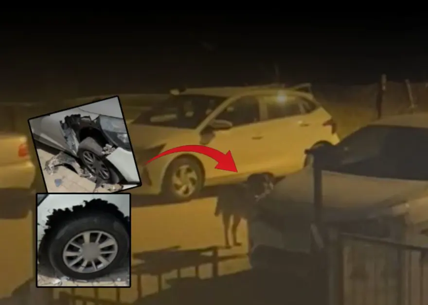 Sokak köpekleri otomobili paramparça etti: Hasarın bedelini belediyeden istedi Sokak köpekleri otomobili paramparça etti: Hasarın bedelini belediyeden istedi