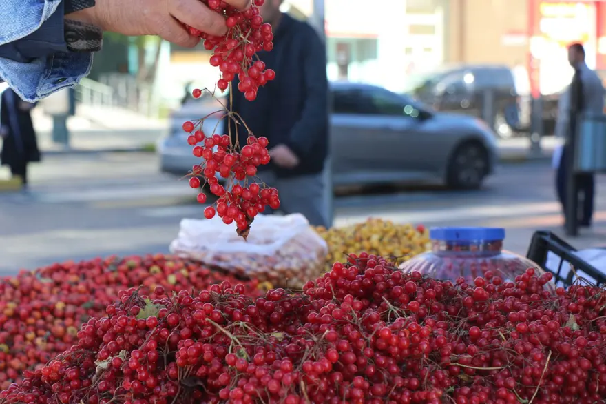 Seyyar doktor, dağ bitkileriyle şifa dağıtıyor! ''Bunu 2 ay tükettiğinizde kalpteki tüm damarlar açılıyor'' 6