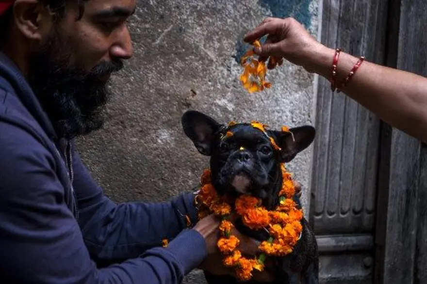 Hindistan'da Diwali festivali kutlandı 6