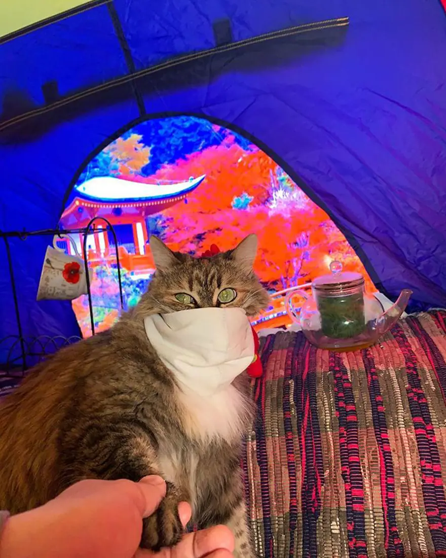 Karantina günlerinde evde yaratıcı seyahat fotoğrafları 3 Karantina günlerinde evde yaratıcı seyahat fotoğrafları 3