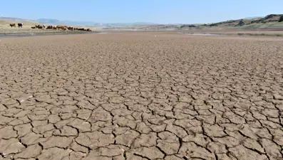 Kuraklık alarmı: 64 kilometrekarelik baraj çöle döndü