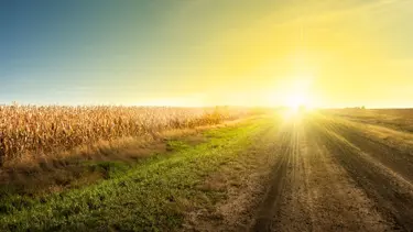 Ekolojik tarım gönüllüsü olun