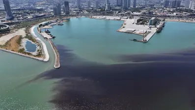 İzmir'de endişe veren görüntü: Balık ölümleri yeniden başladı