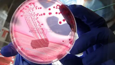 AP2A1 proteini nedir, nasıl baskılanır? Bilim insanlarından yaşlanmayı unutturan keşif