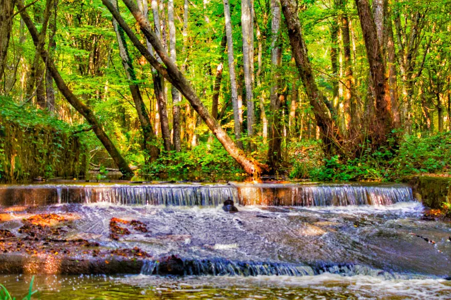 istanbul'un tabiat parkları, istanbul'daki tabiat parkları, istanbul mesire alanları, istanbul'de ailece nereye gidilir, istanbul ormanları 