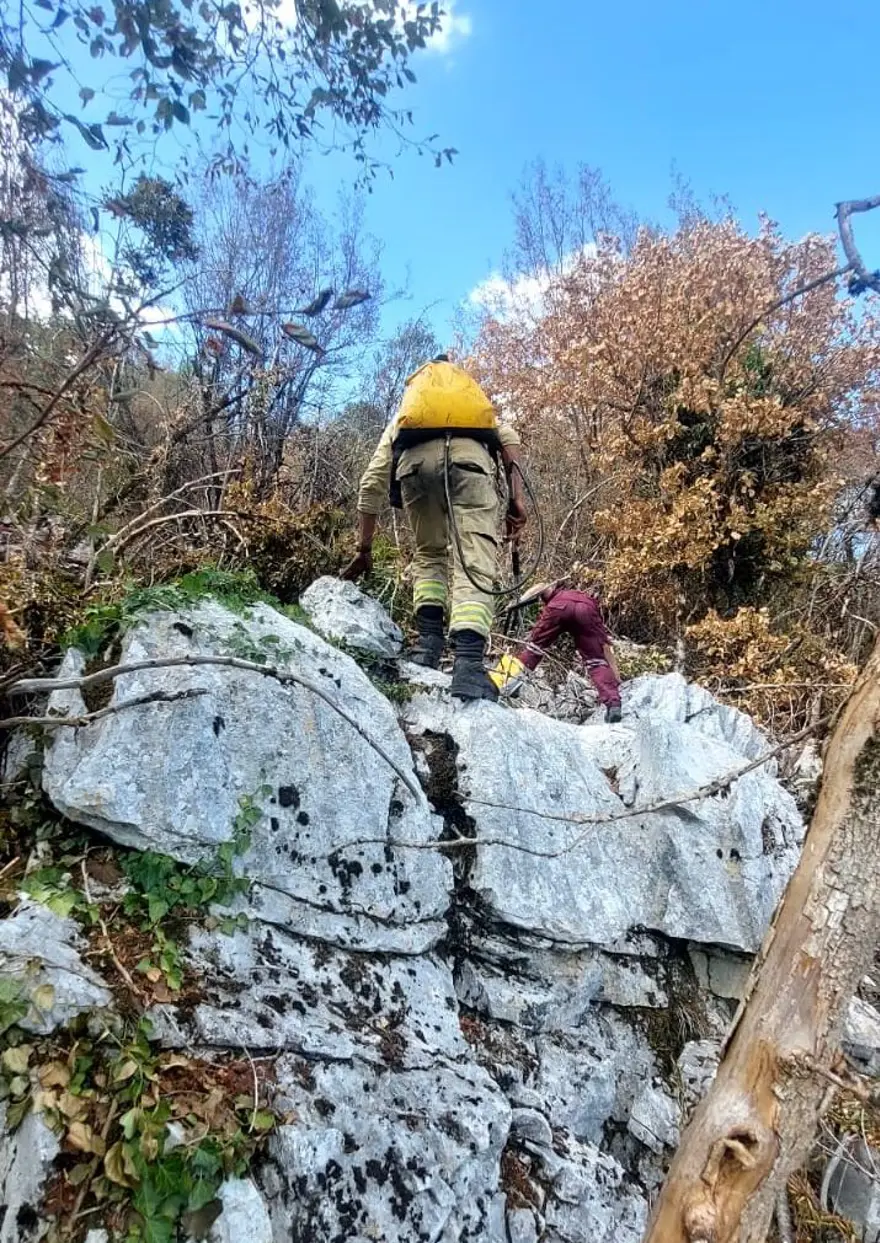 Küre Dağları Milli Parkı'ndaki yangın | Orman işçileri, alevlerden son anda kurtuldu 7