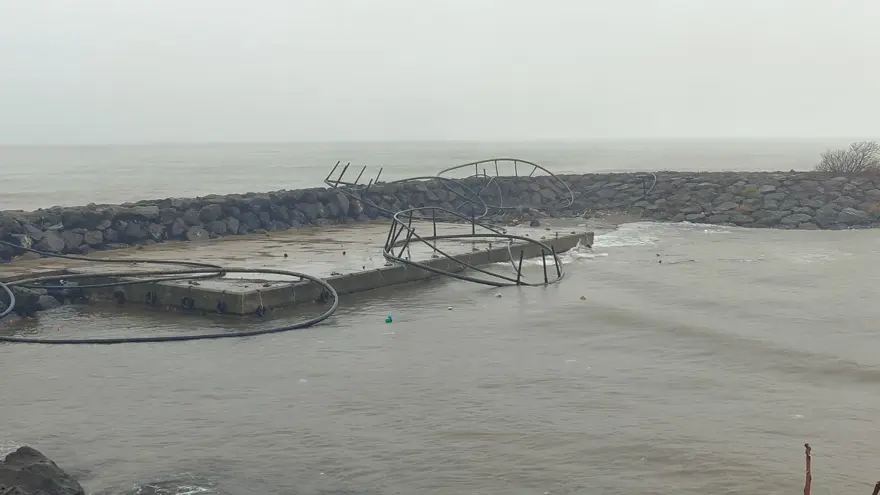 Giresun'da fırtına balık kafeslerini kıyıya sürükledi 4 Giresun'da fırtına balık kafeslerini kıyıya sürükledi 4