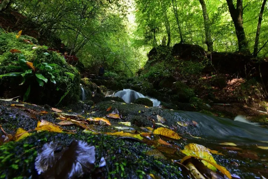 yedigöller milli parkı, sonbahar, Gölcük Tabiat Parkı, doğa, Bolu, bolu gezilecek yerler 8 yedigöller milli parkı, sonbahar, Gölcük Tabiat Parkı, doğa, Bolu, bolu gezilecek yerler 8