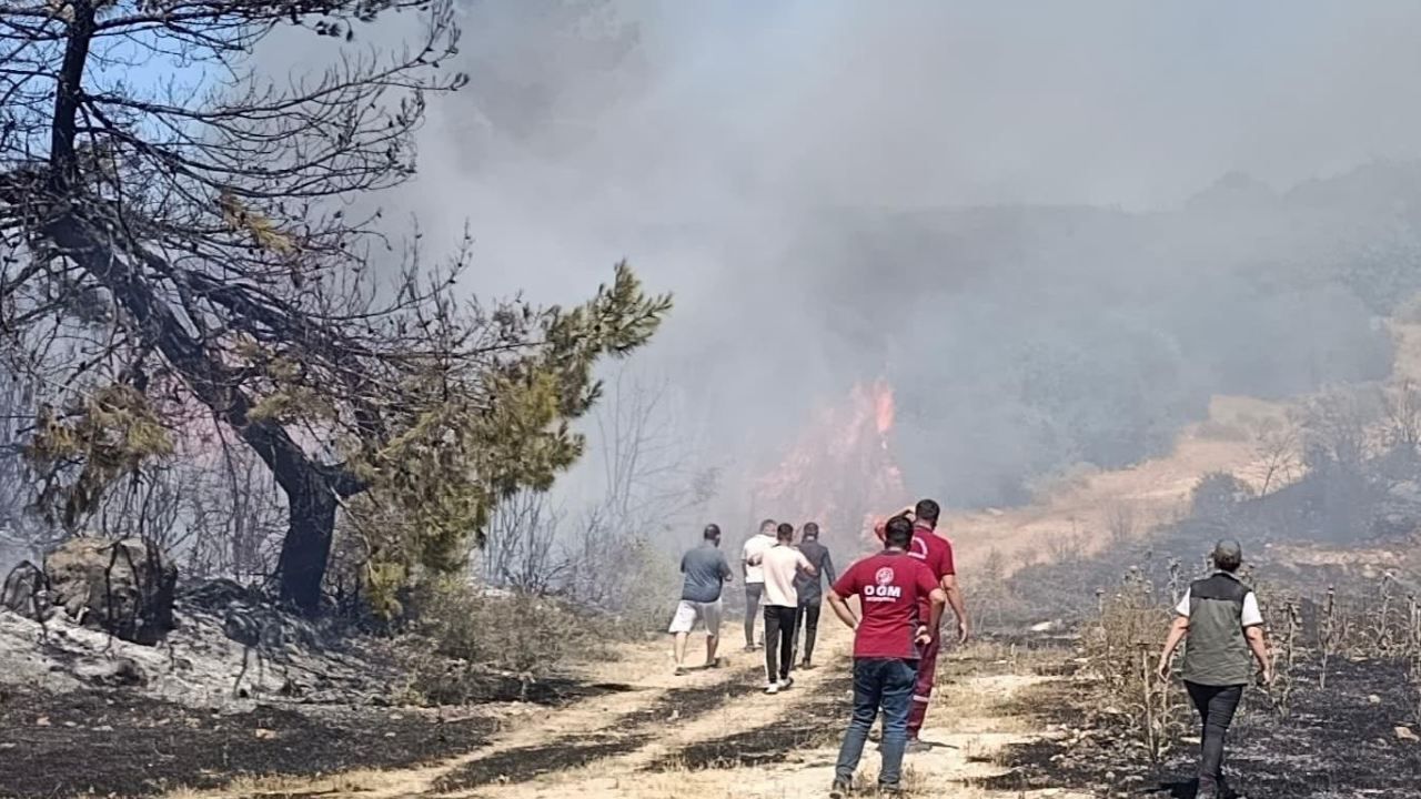 Semaver yakarken ormanı da yaktı