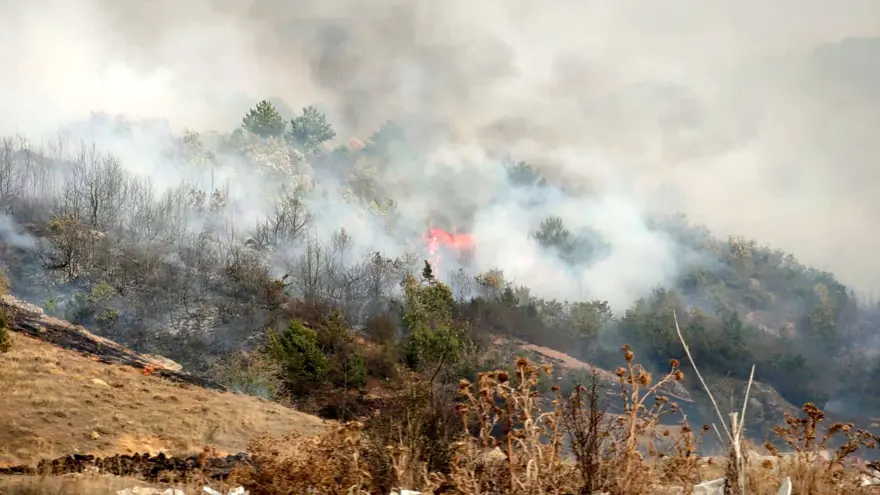 Afyonkarahisar’da orman yangını: Alevlerrüzgarın etkisiyle yayıldı 