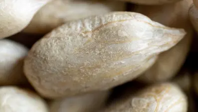 Doğanın en güçlü E vitamini kaynakları: Saçların 2 kat hızlı uzamasına yardımcı