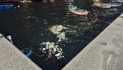 Lodos sonrası ortaya çıktı: Çöp yığınları şoke etti