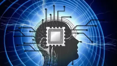 Bilim insanlarından risk almayı azaltan beyin çipi: Kumar bağımlılığının sonu olabilir