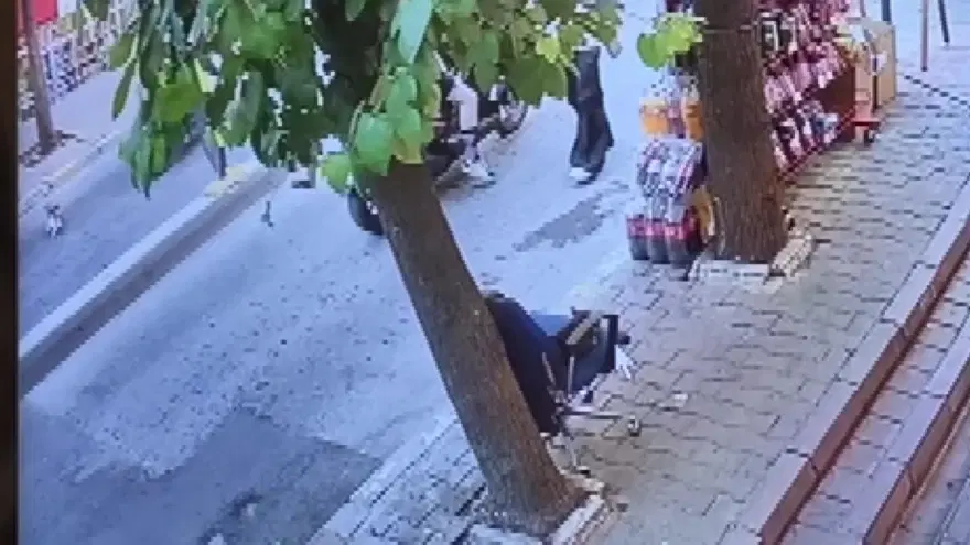 Cihangir’in maskotuTarçın kaza kurbanı 