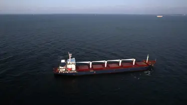 Ukrayna'dan çıkan ilk gemi Razoni'yi alıcı kabul etmedi