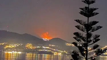 Muğla Bodrum'da makilik ve otluk alanda yangın