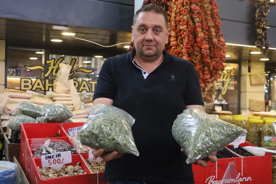 Kendiliğinden yetişiyor, tek tek sabırla toplanıyor: 100 gramıyla bir öğünlük yemek pişiyor 1 Kendiliğinden yetişiyor, tek tek sabırla toplanıyor: 100 gramıyla bir öğünlük yemek pişiyor 1