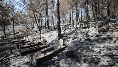 Silifke'deki orman yangını ile ilgili 4 şüpheli tutuklandı: Kaynaktan çıkmış