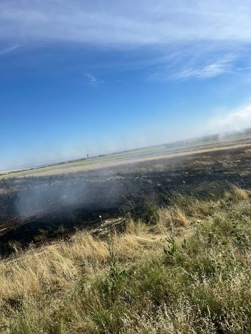 60 DÖNÜM ARAZİ ZARAR GÖRDÜ 3