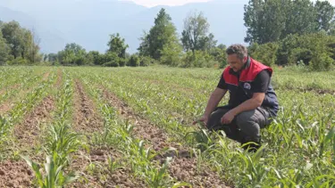 Düzeceliler için son gün 10 Haziran