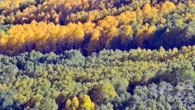 2024 hoşgeldin Kasım mesajları ve sözleri: En güzel, anlamlı, uzun ve kısa Kasım ayı mesajları