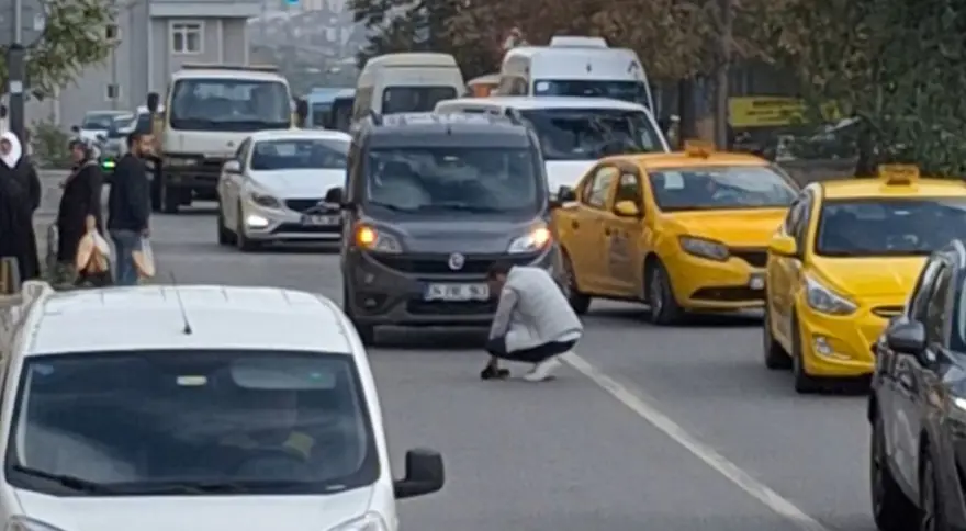 Akan trafikte, yavru kediyi ölümden kurtardı 