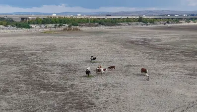 Son yağmurlar da etki etmedi: Barajlar alarm veriyor