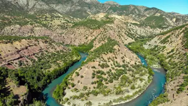 Tunceli’de köylüler dışında ormanlara giriş yasaklandı