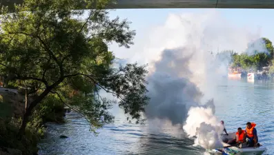 İstilacı tür olarak biliniyor: Yumurtaları 6 ay kuraklığa dayanabiliyor