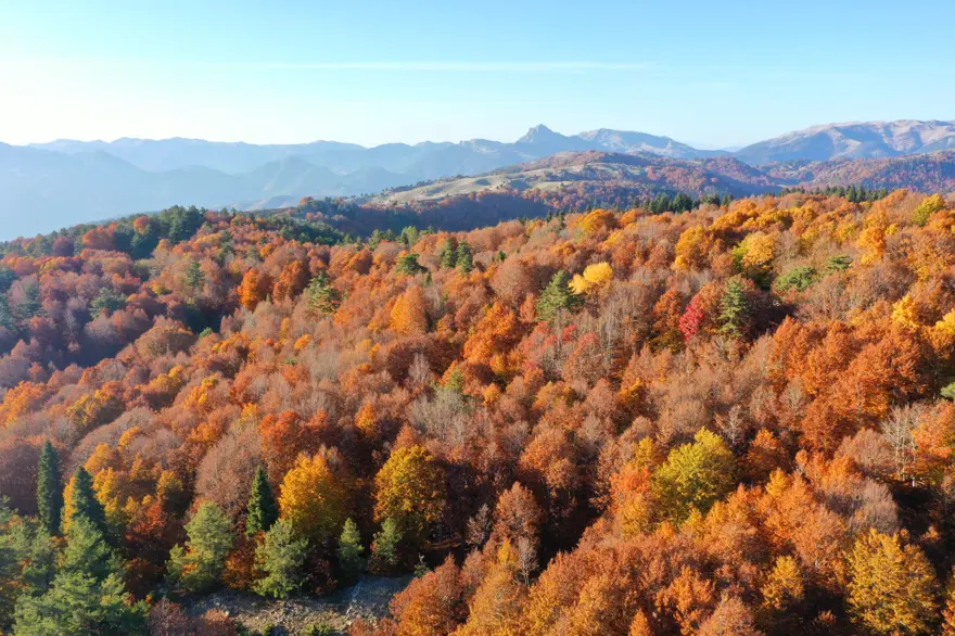 Kahramanmaraş'taki Akifiye Yaylası'na sonbaharın renkleri hakim oldu 7