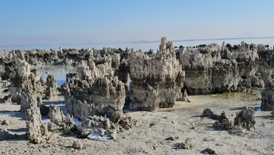 Van Gölü’nde tehlike çanları çalıyor