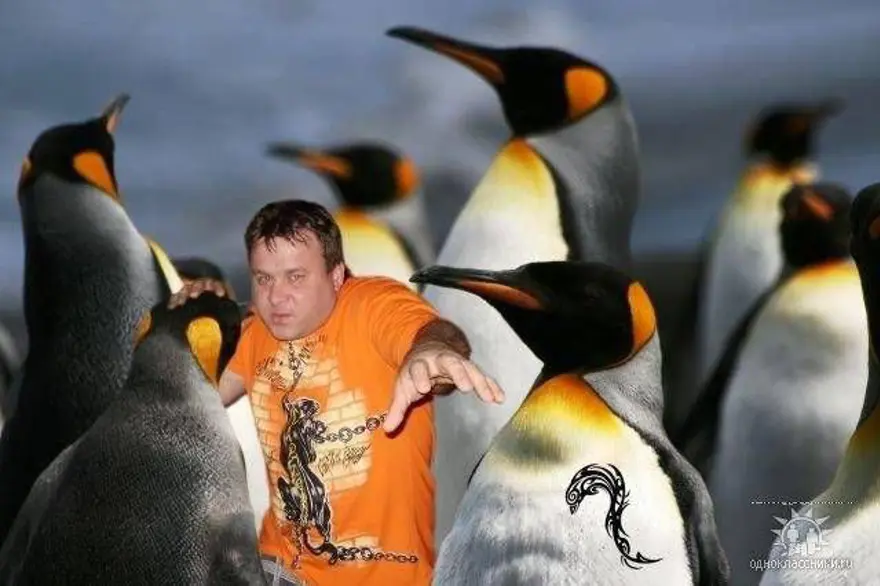 Sosyal medyada Rus çılgınlığı 7 Sosyal medyada Rus çılgınlığı 7