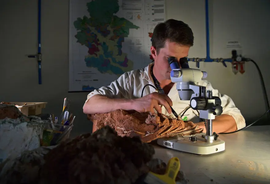 "DİNOZORLARIN NASIL ORTAYA ÇIKTIĞINA DAİR İPUCU VERİYOR" 3