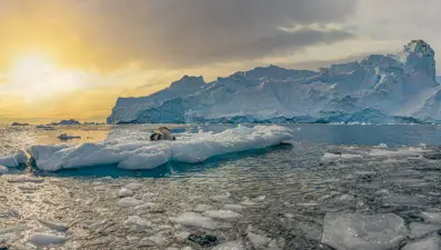 Antarktika'da keşfedilmişti: Mars kayası EXPO 2025'te sergilenecek!