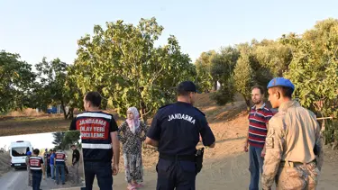 İncir ve zeytin bahçelerinde hırsız nöbeti