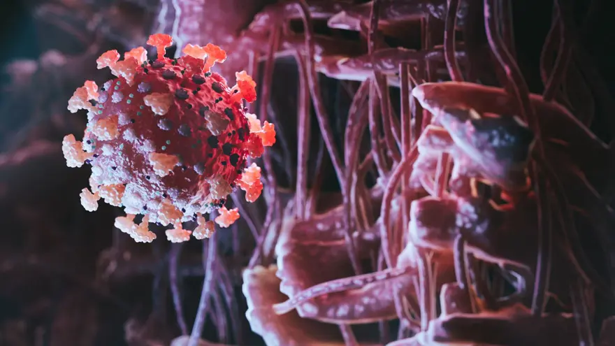 Araştırma: Omicron’un alt varyantı ciddi hastalıklara neden oluyor Araştırma: Omicron’un alt varyantı ciddi hastalıklara neden oluyor