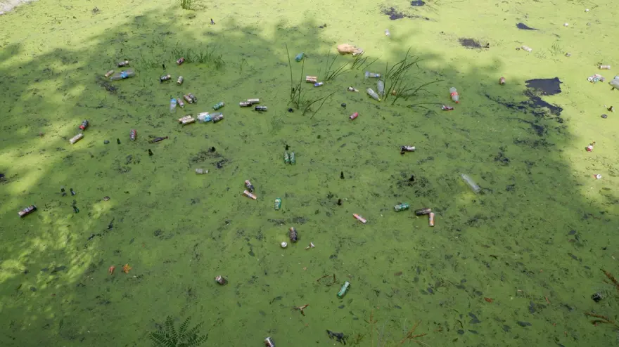 Tunca Nehri yeşile döndü 2