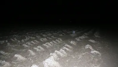 "Beyaz altın" nöbeti: Kilosu 250 lirayı buluyor, gece boyu başında bekliyorlar