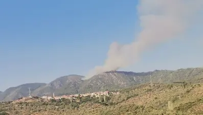 Muğla'da orman yangını