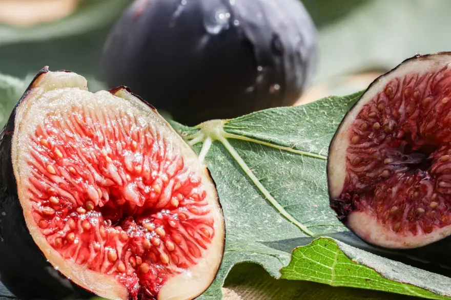 Türkiye'nin milli meyvesi: Bu yıl üreticisine tat vermedi 2