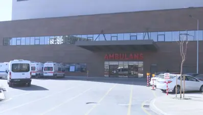 Beslediği boğanın saldırısında ağır yaralandı