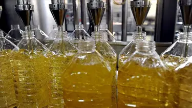 Ayçiçek piyasasının gözü Türkiye'de: Fiyatlarda düşüş bekleniyor