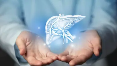 Siroz hastalığı nedir, neden olur? Karaciğer sirozu belirtileri