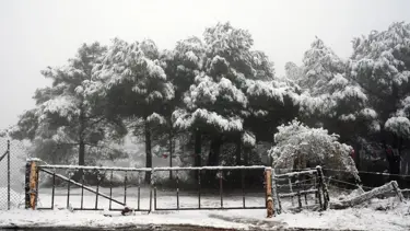 Marmara Bölgesi'nin doğusu için kuvvetli kar yağışı uyarısı