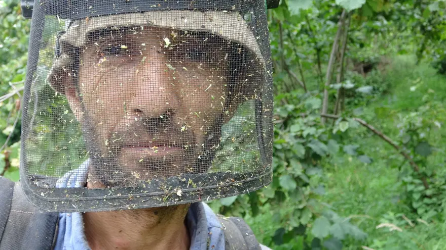Günlüğü 6 bin lira: Hasat öncesi en zor iş 