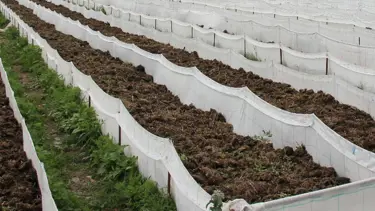 Solucandan organik gübre üretimi