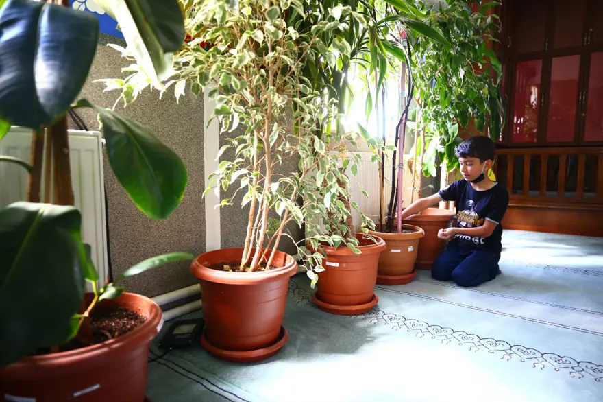 Botanik bahçesi değil cami 9