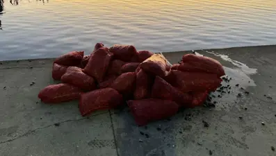 İstanbul'da 1 ton kaçak midye ele geçirildi