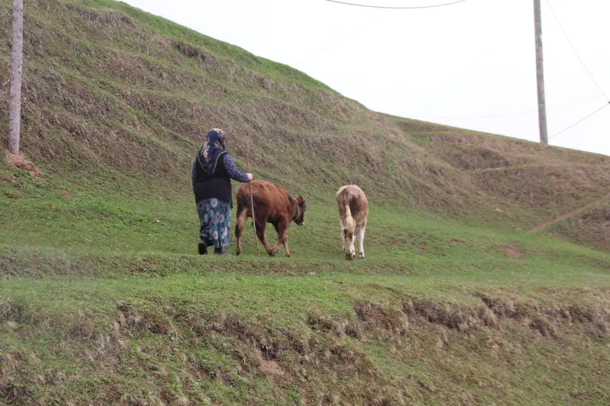 Corona virüs vakası görülmeyen yaylada yaşıyorlar 4
